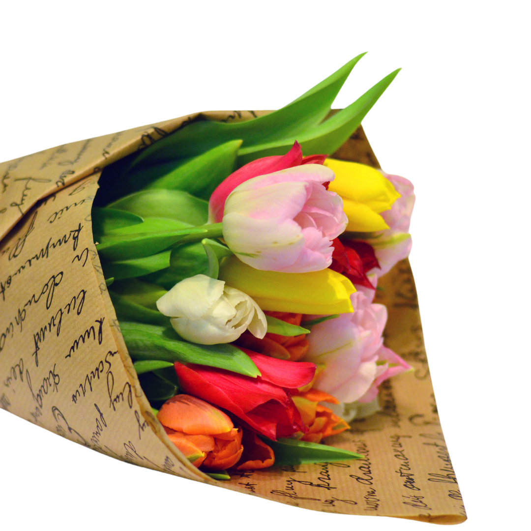 Colourful Tulips