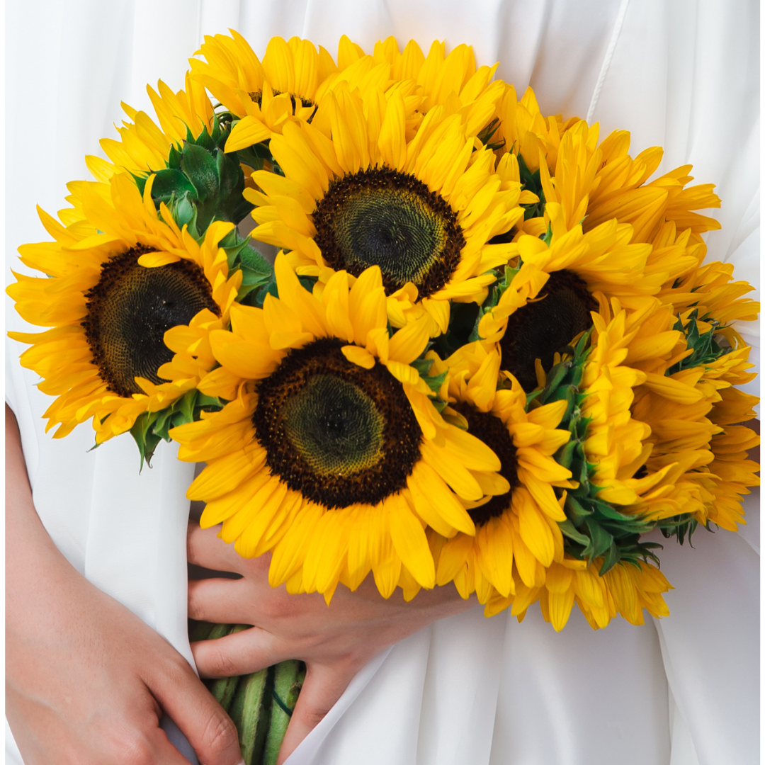 Happy Sunflowers