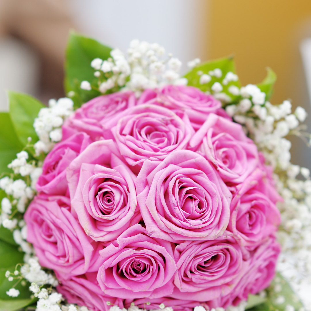 Lavender Pink Roses - Say yes!
